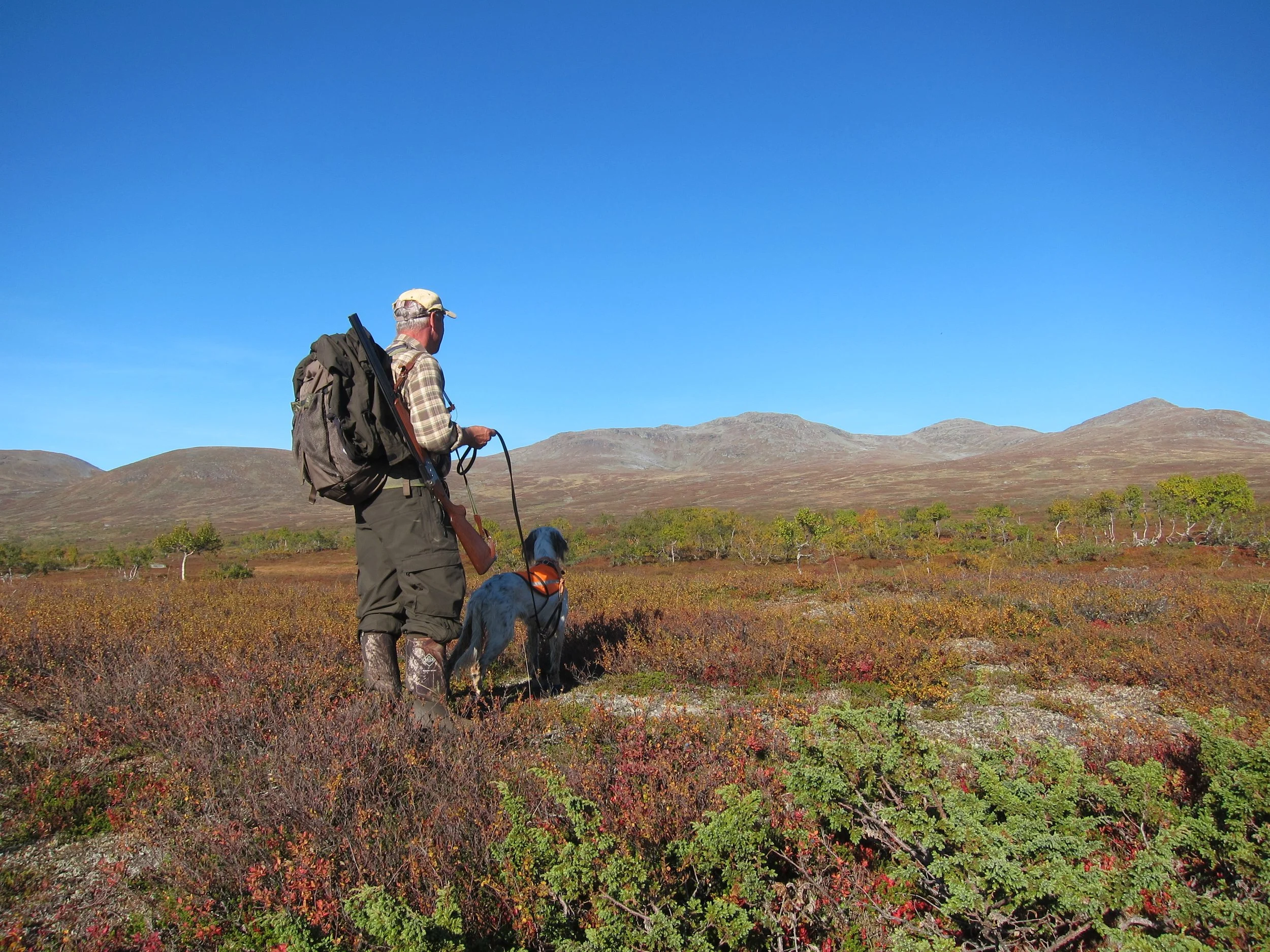 Informasjon om åpning av jaktkortsalg på statsallmenningen