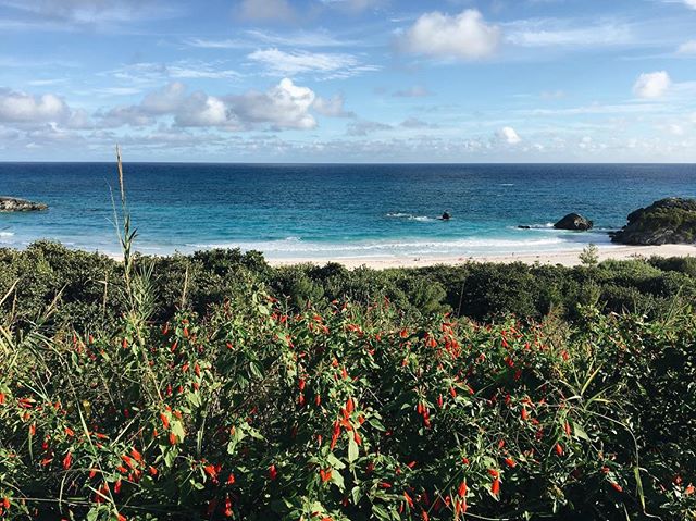 &ldquo;You can go to heaven if you want to. I'd rather stay right here in Bermuda.&rdquo; - Mark Twain .
.
.
.
.
#travel #travelphotography #beautifuldestinations #beautifulplaces #instapassport #liveauthentic #mytinyatlas #travelblogger #budgettrave