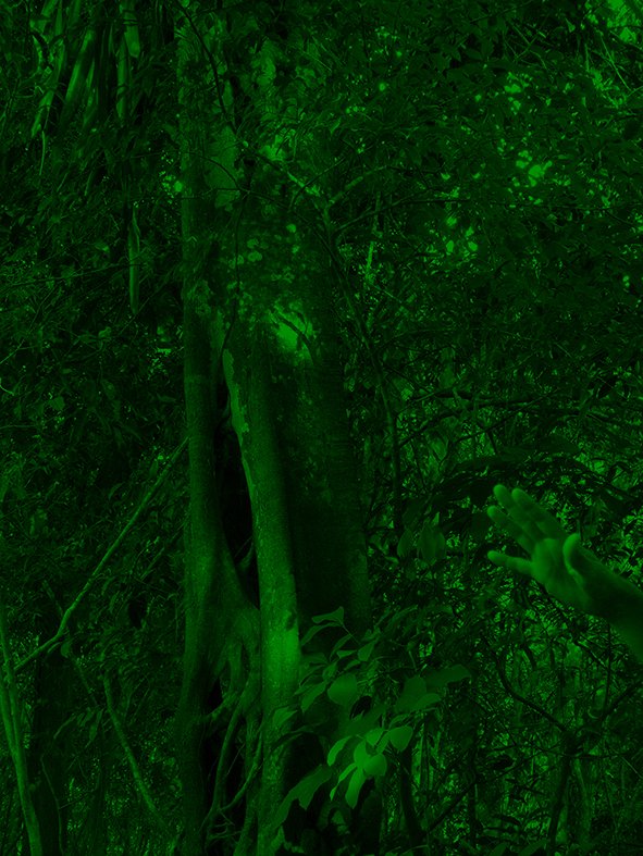 DSC01846-Enhanced-2_emerald_grain2 copy.jpg