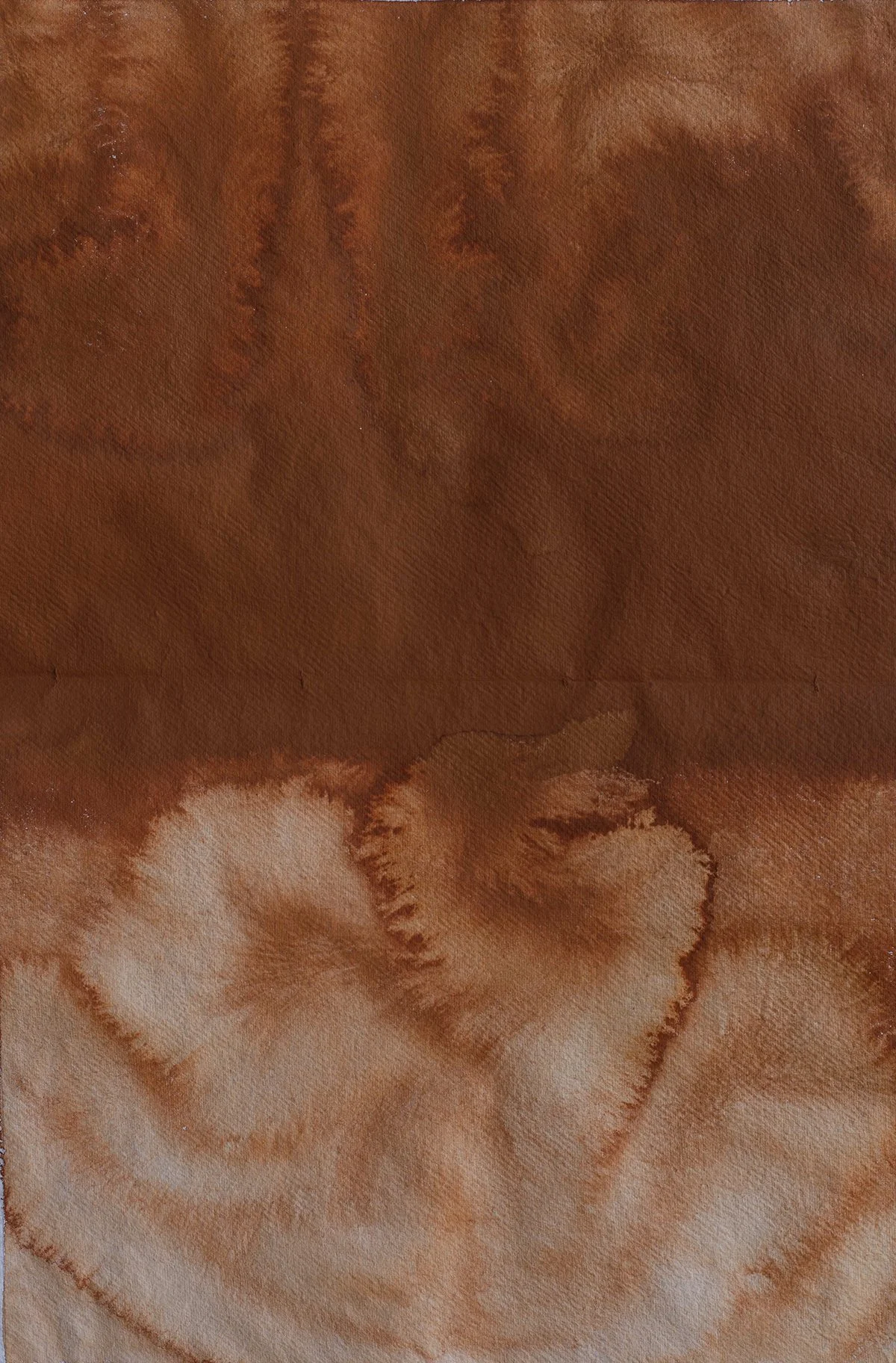 sm-LOBATSE orange dust Botswana earth on cotton rag 60x40cm 2023 Ann Gollifer copy.jpg