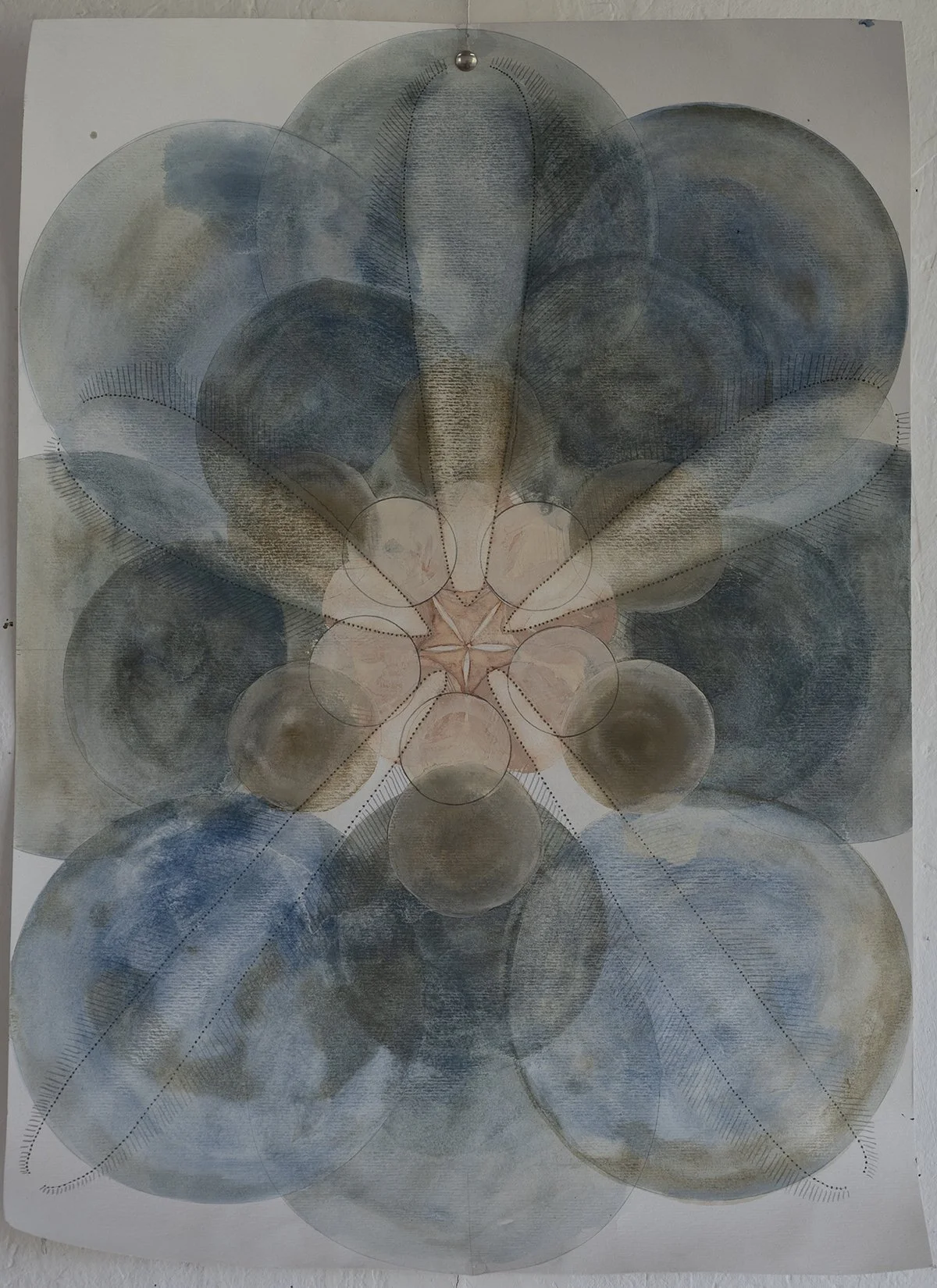 Sacatar Seastar study 111 .jpg