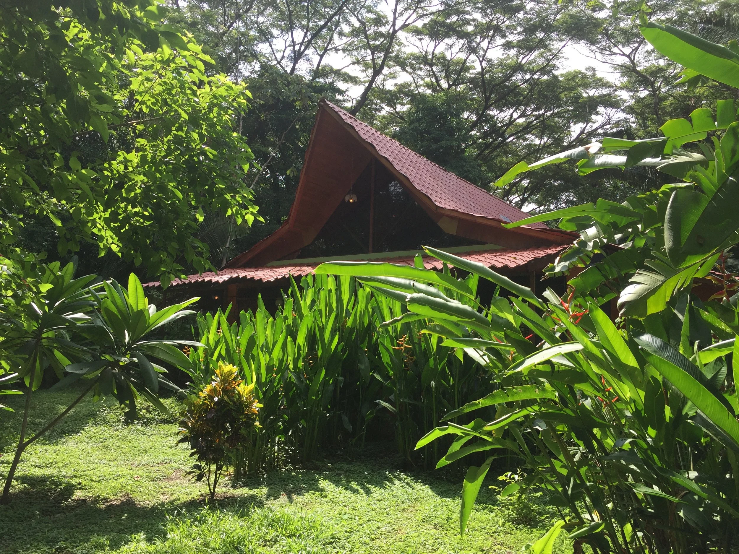 IMG_2822.jpg