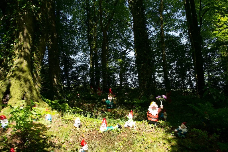 04gnome-reserve.jpg