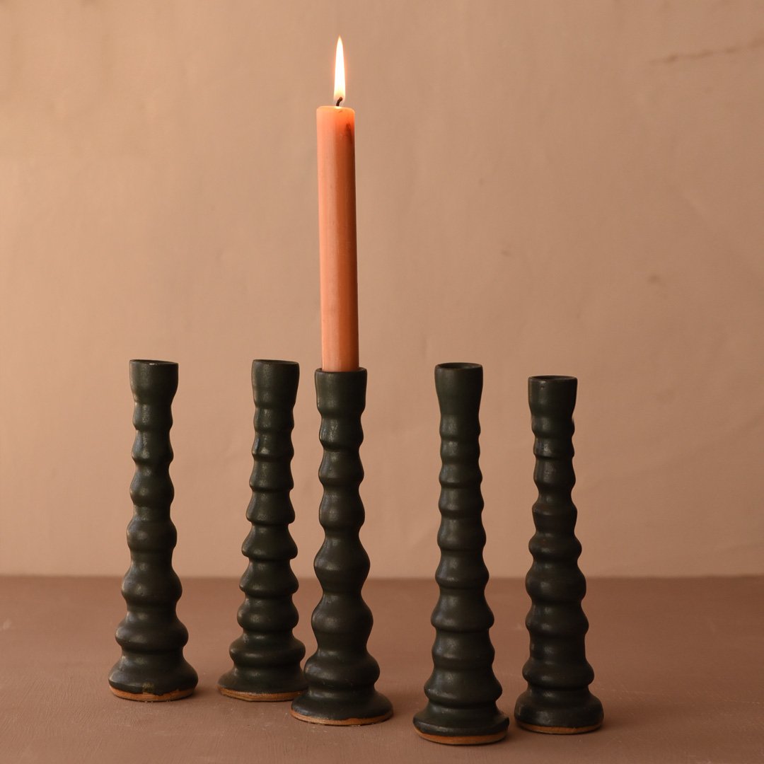 CandlestickBeetle1.jpg