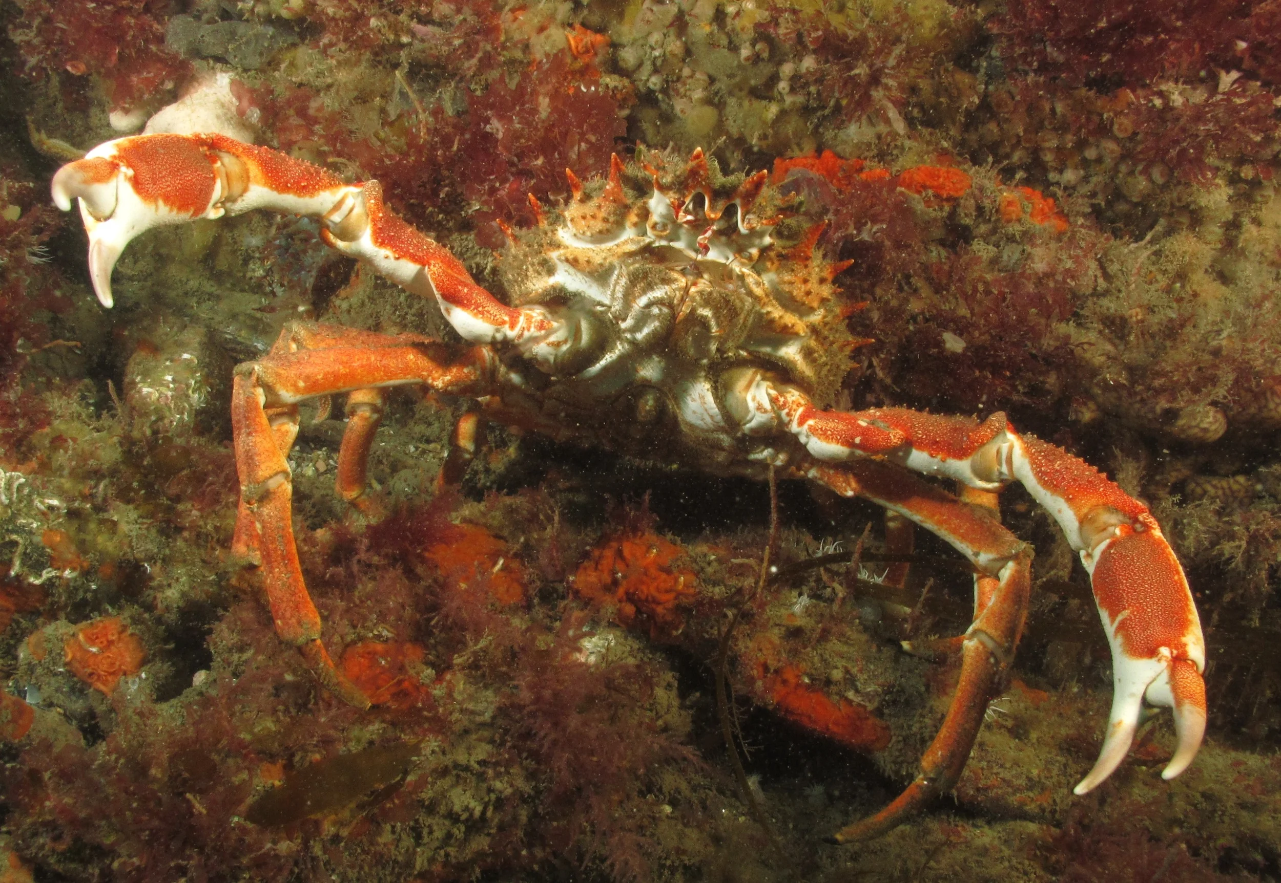 IMG_2694 Start Pt.JPG