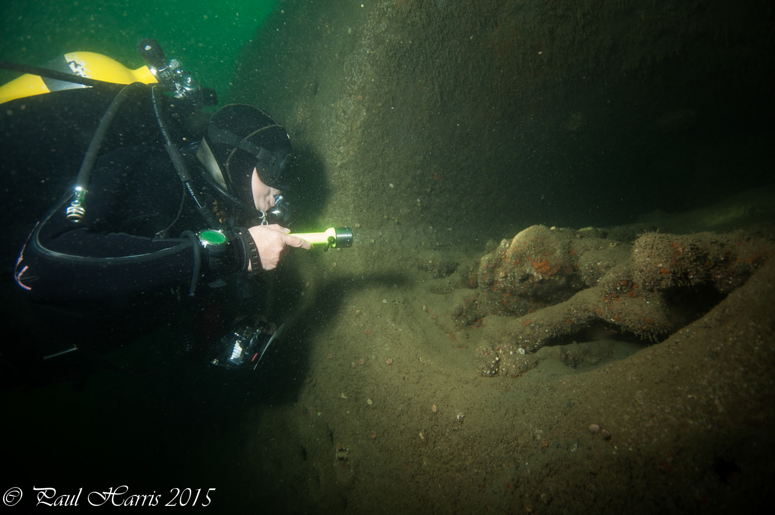 wreckage and diver_7155.jpg