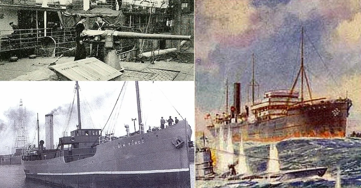 HMS Stock Force.jpg