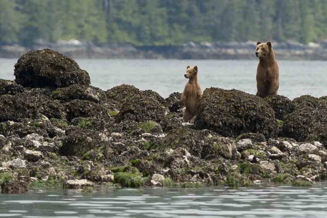 British Columbia, Canada