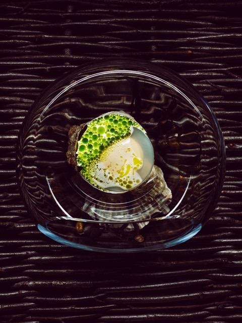 Norwegian oyster with mussels and dill Credit: Tuukka Koski