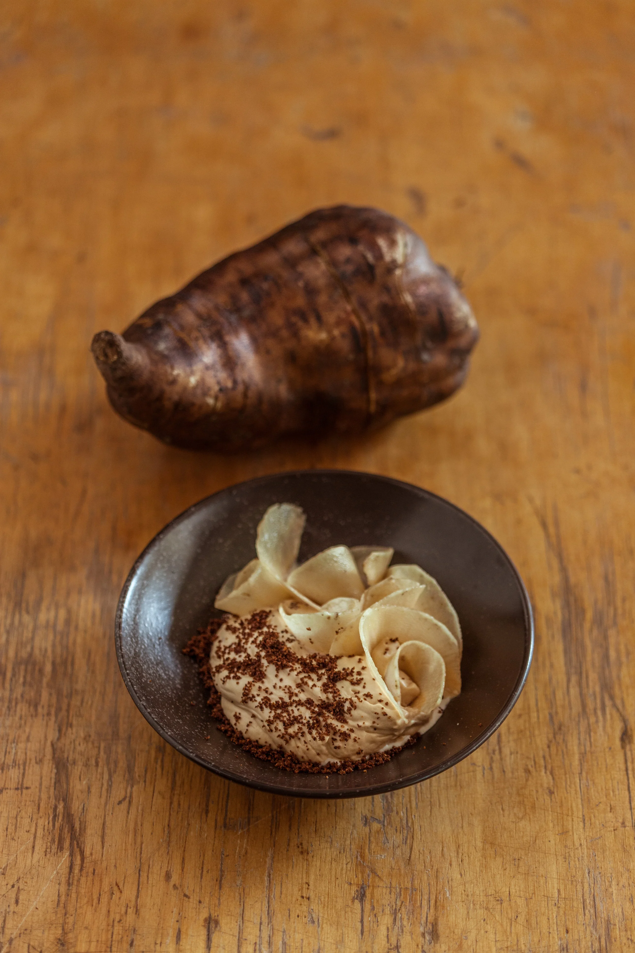 Apple root