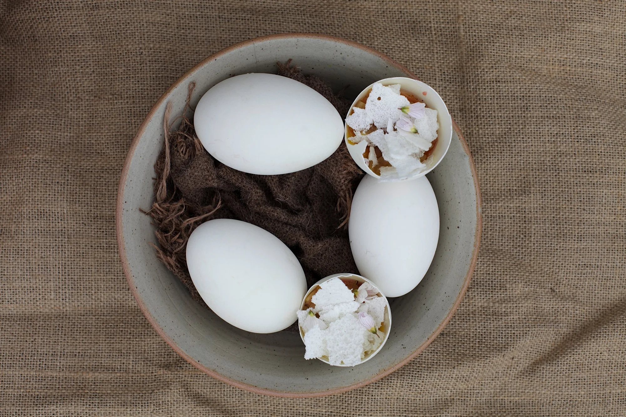Duck egg, rhubarb, wood sorrel