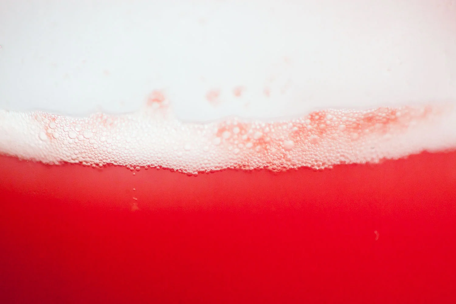 Ferment raspberry soda