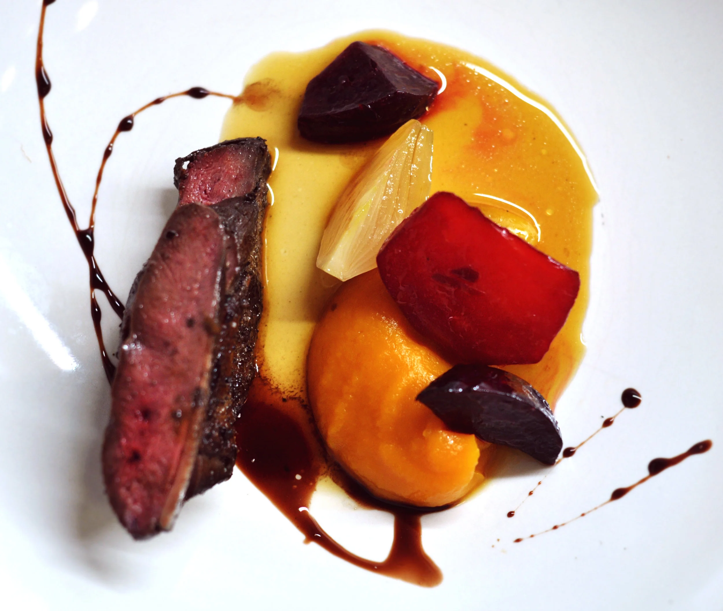 Wild Mallard Duck, Beets in Mediterranean Garden