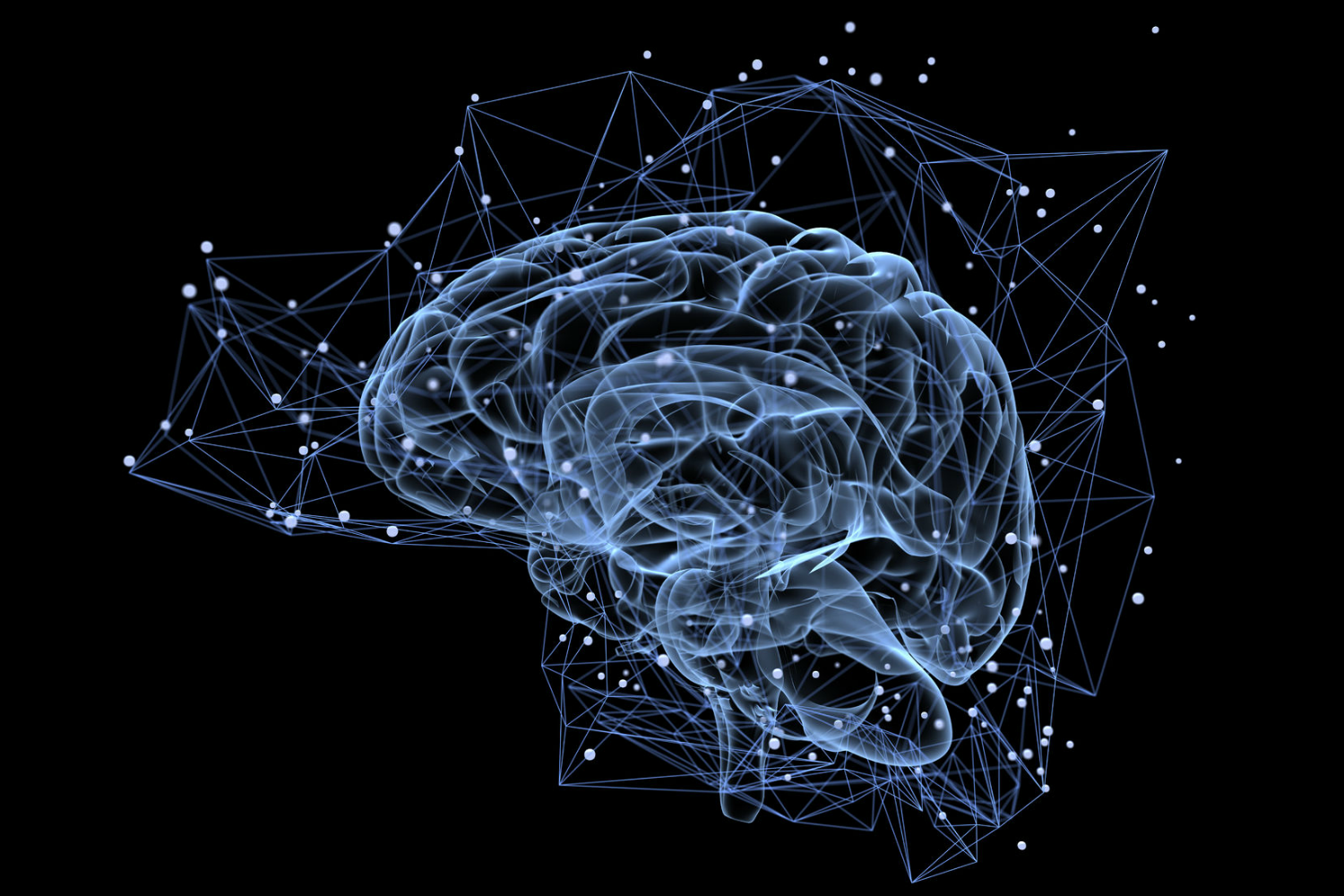 brain-stock-photo.png