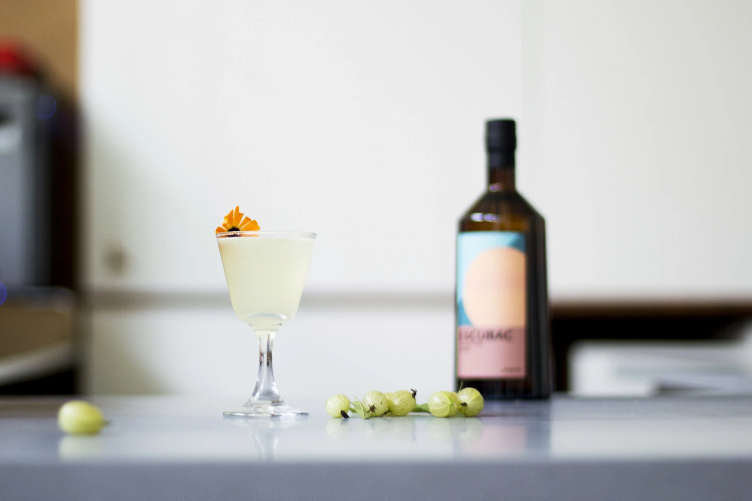 Cocktail_2.jpg