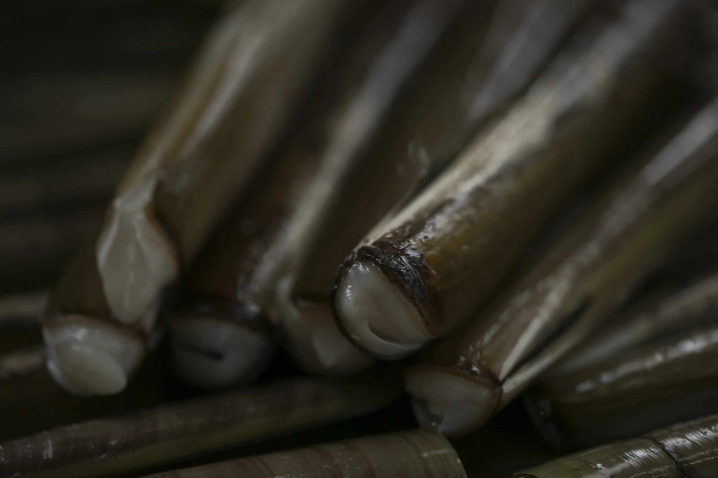 The Edinburgh Food Studio11282.jpg