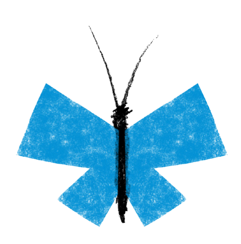 butterfly.png
