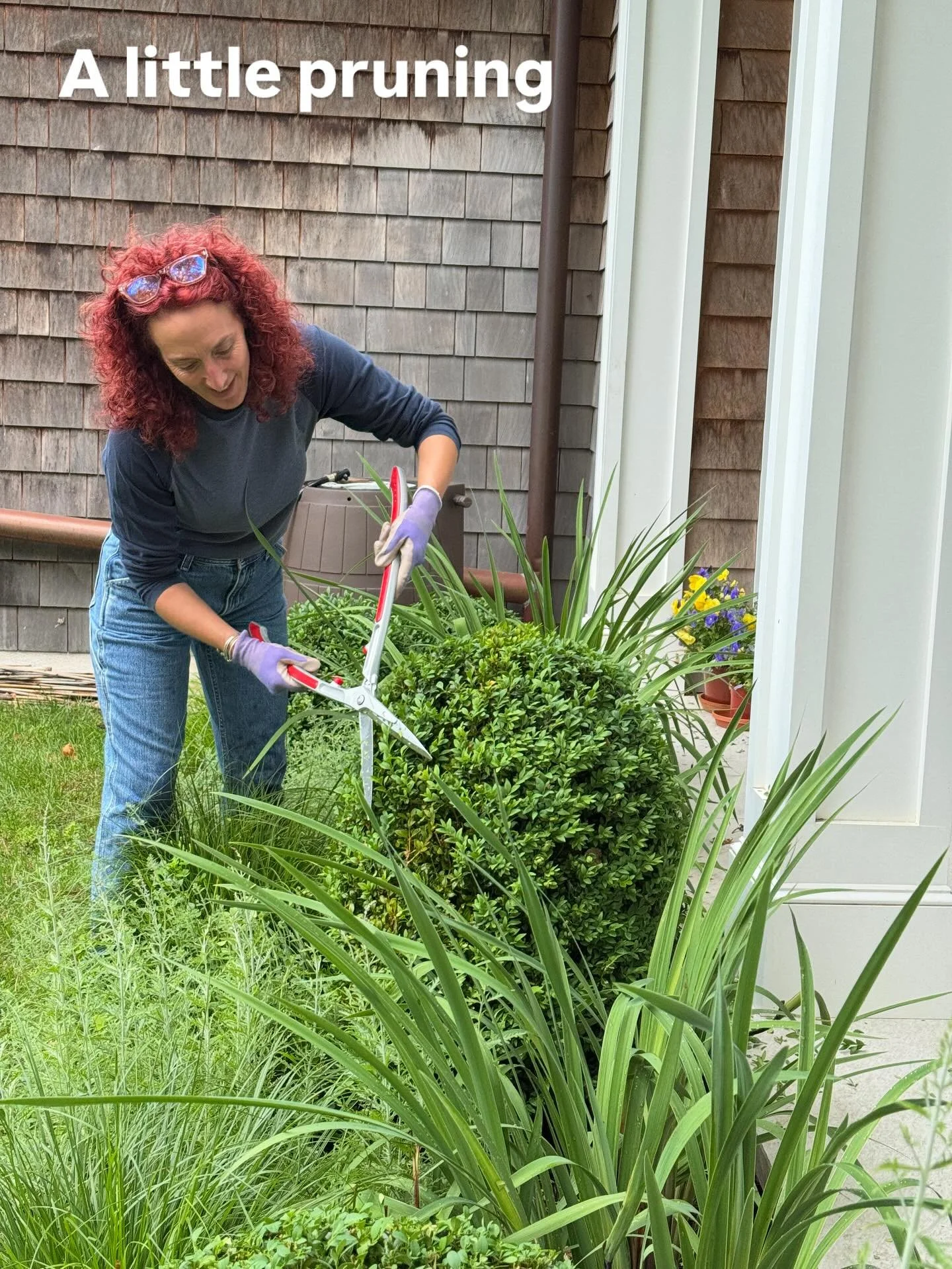 A typical day at work with the Salty team. Keeping our installation looking tip top &amp; the wildlife safe 🐢

#landscapedesigner #boxwood #savetheturtles #northfork #funatwork