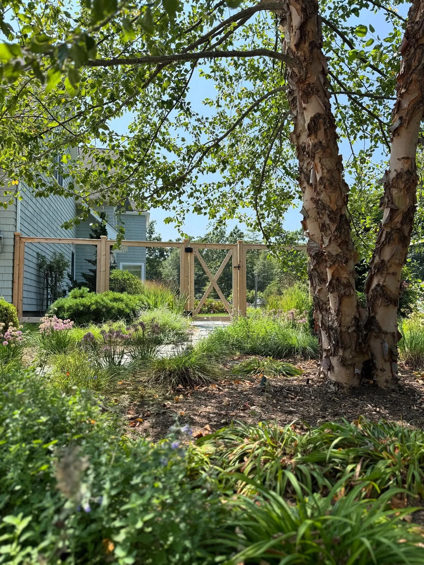 Looking fresh &amp; lush at our Cutchogue spring installation. Ready for a holiday weekend of entertaining. 

#northfork #landscapedesigner #poolscapes #landscapedesign #gardendesign #hardscapedesign