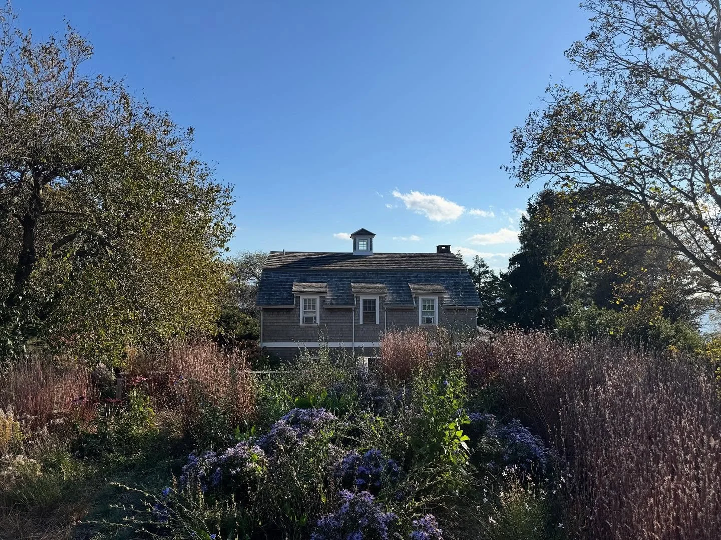Our green roof summer installation is really showing itself off in the gorgeous autumn light. 
#greenroof #nativeplants #landscapedesigner #nofo