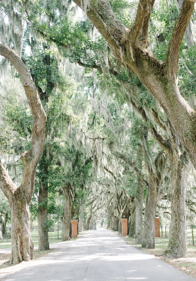 Samantha+Brandon-Savannah,GAWedding-6.jpg