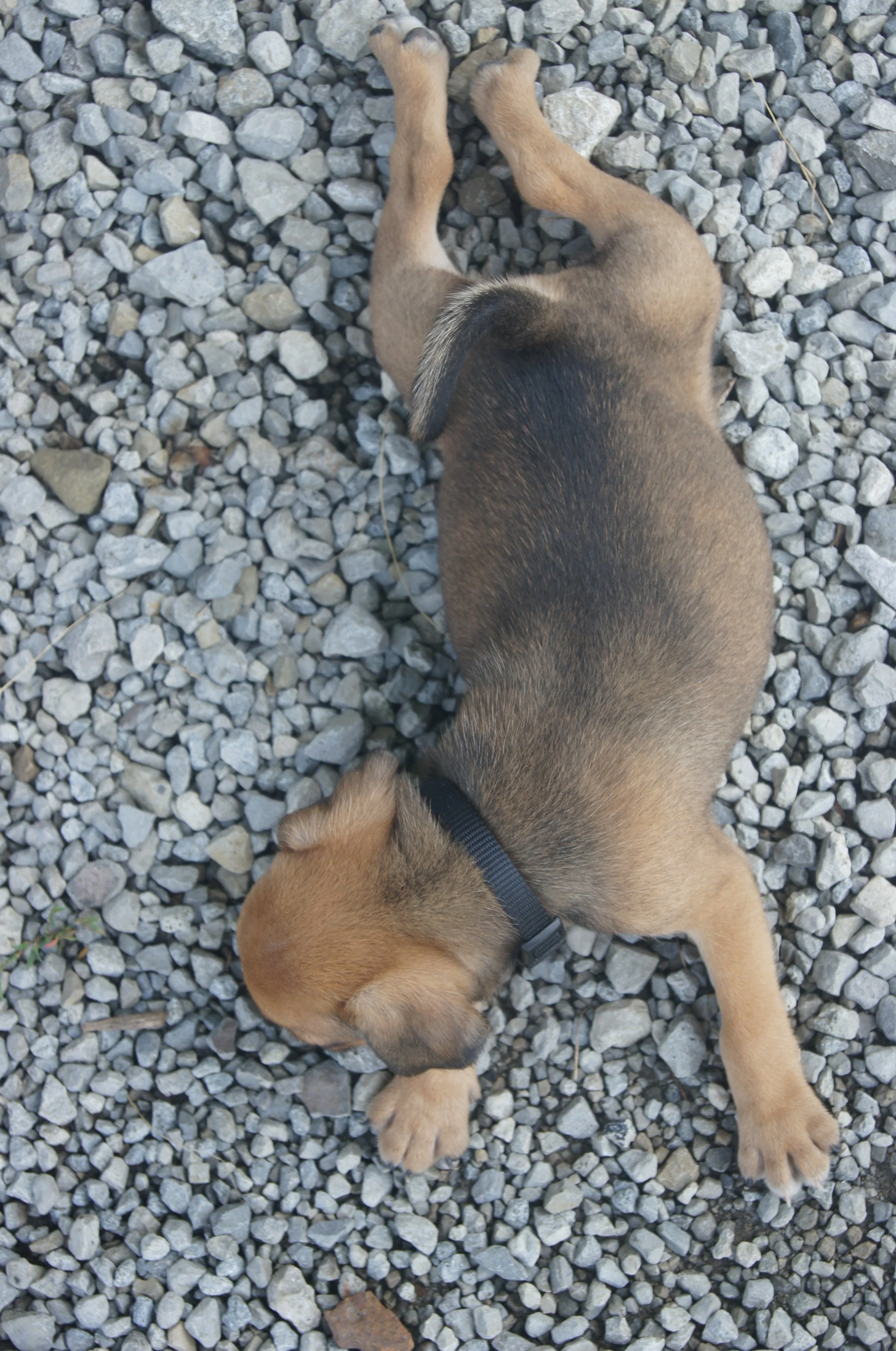 DSC05374.JPG