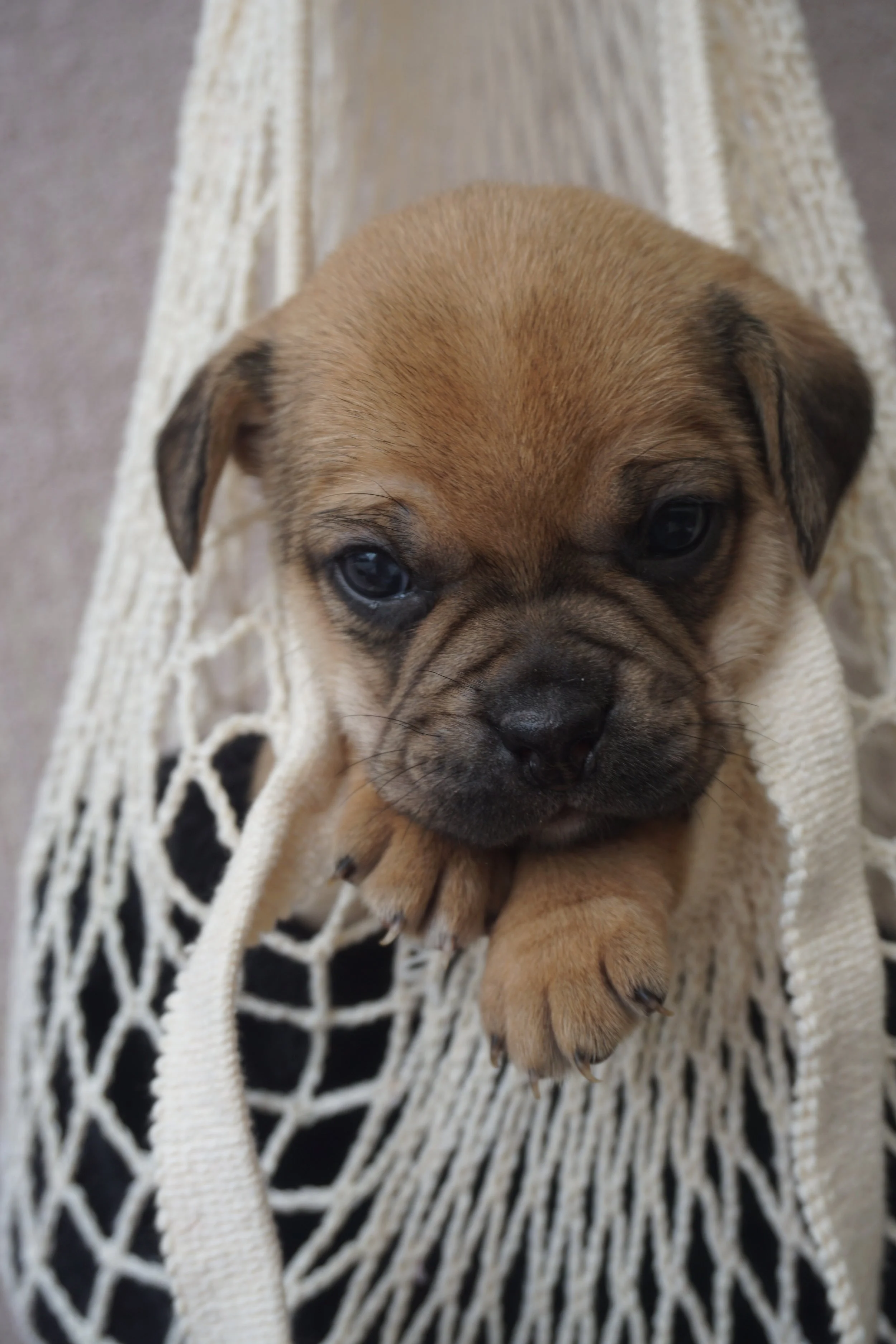twix