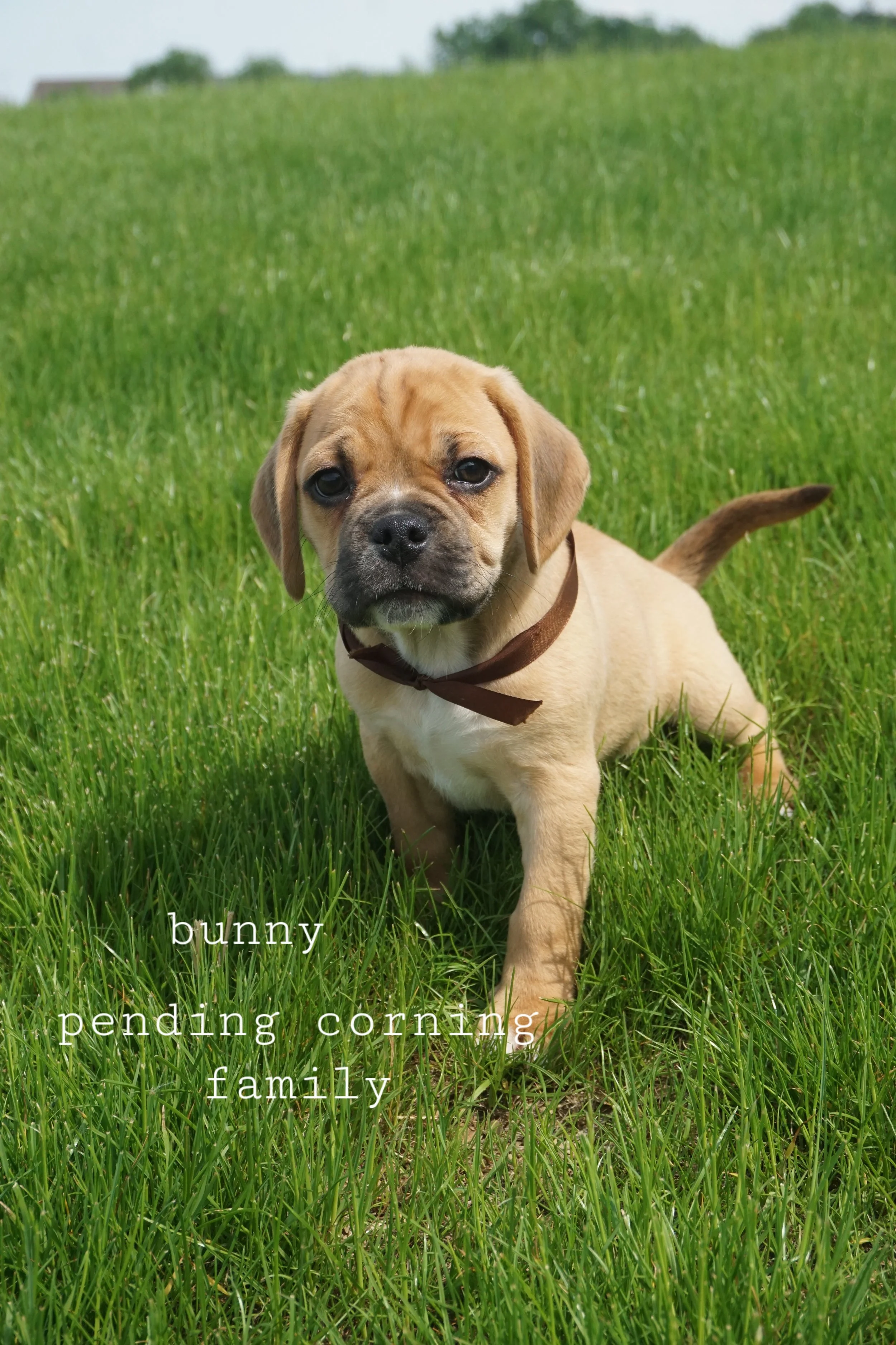 DSC05921.JPG