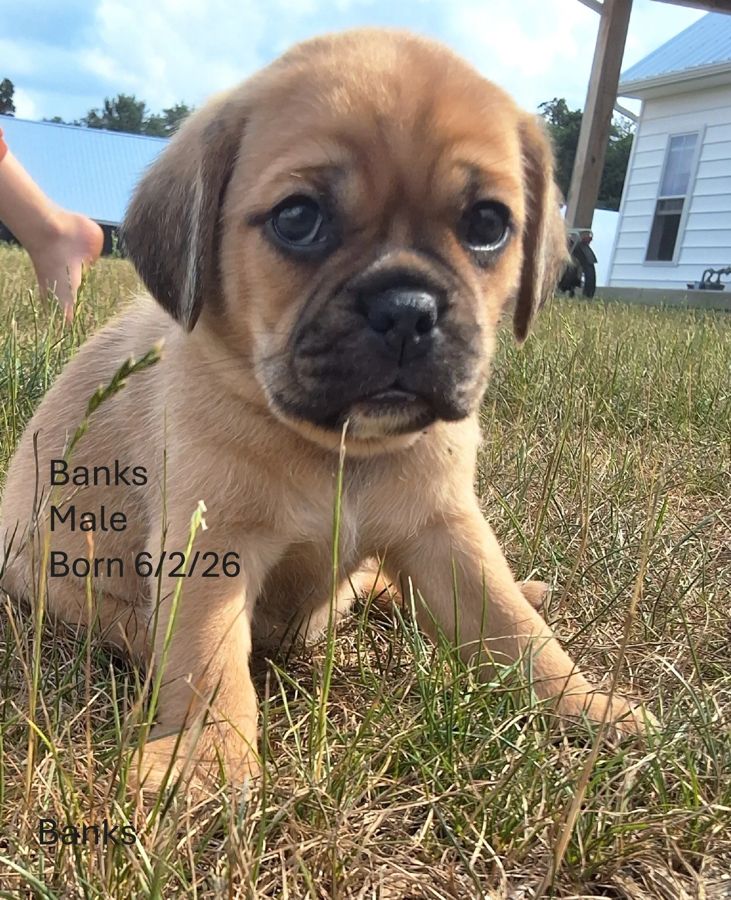 Banks2.JPG