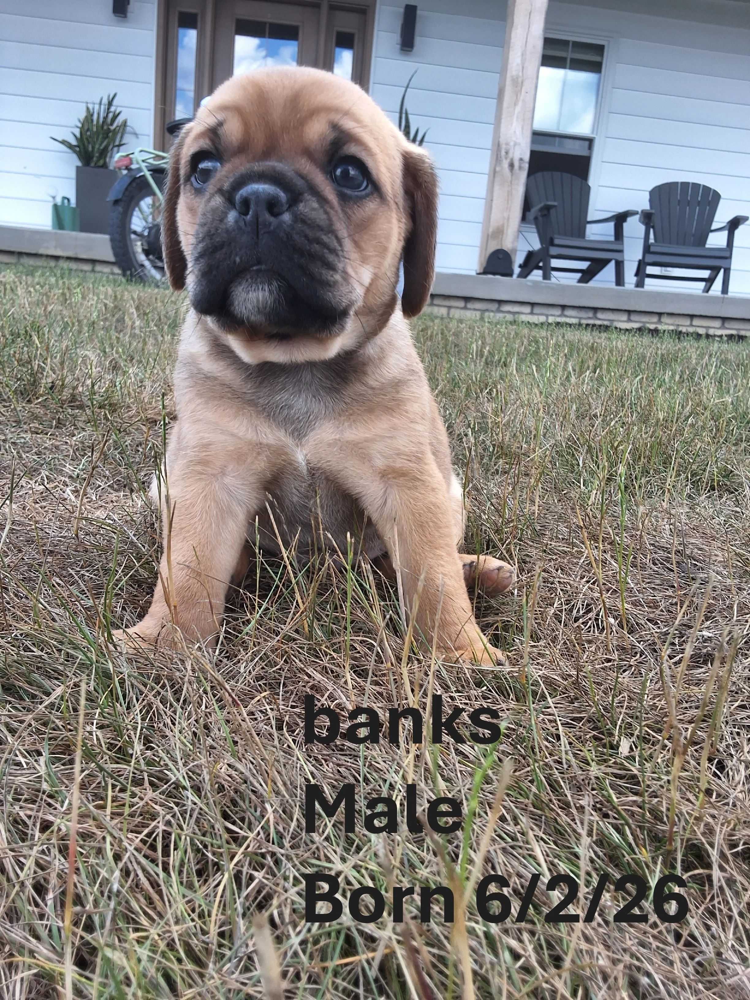 banks.JPG