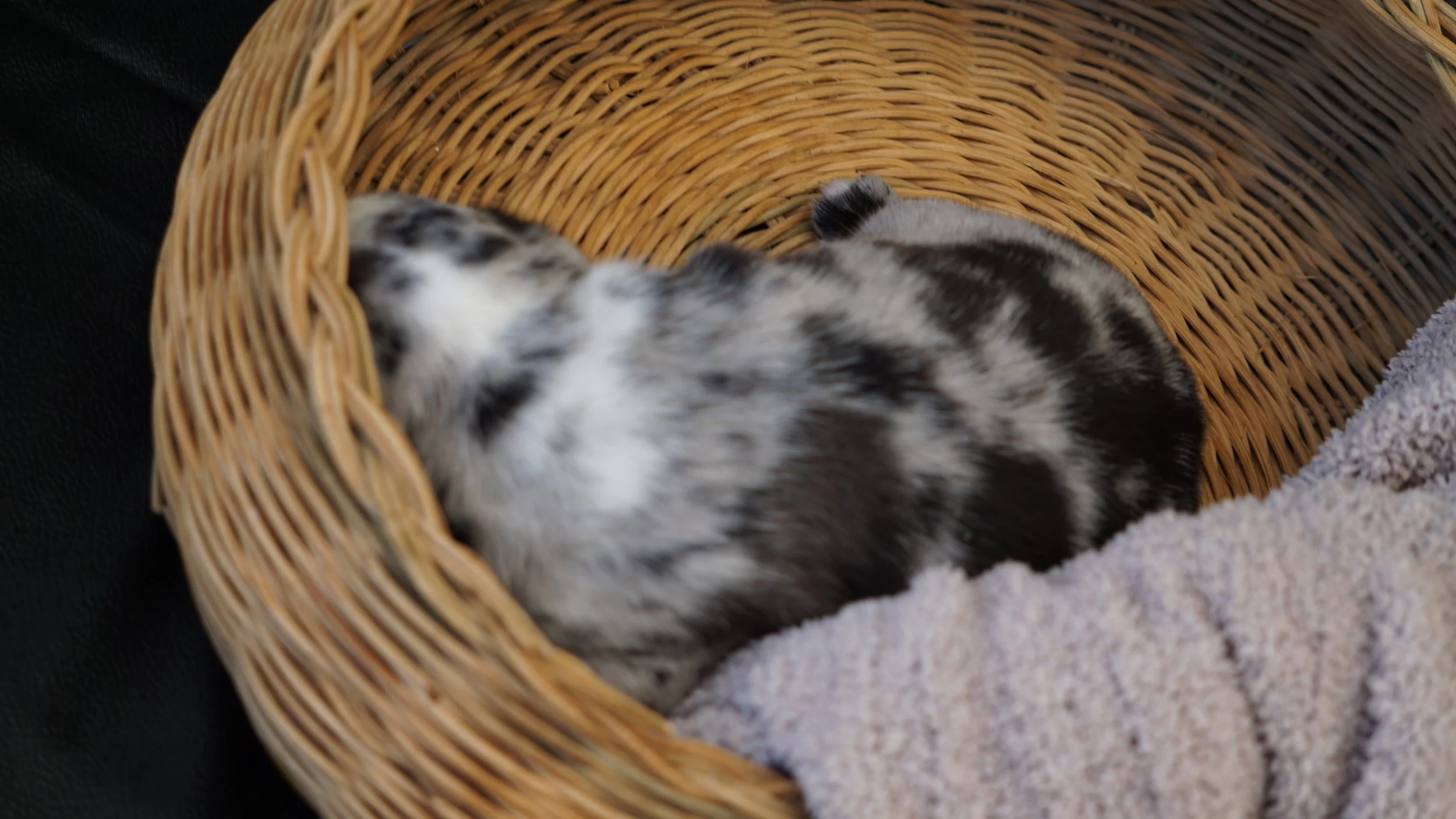DSC03084.JPG
