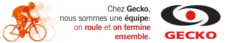logo+equipe+gecko.jpg
