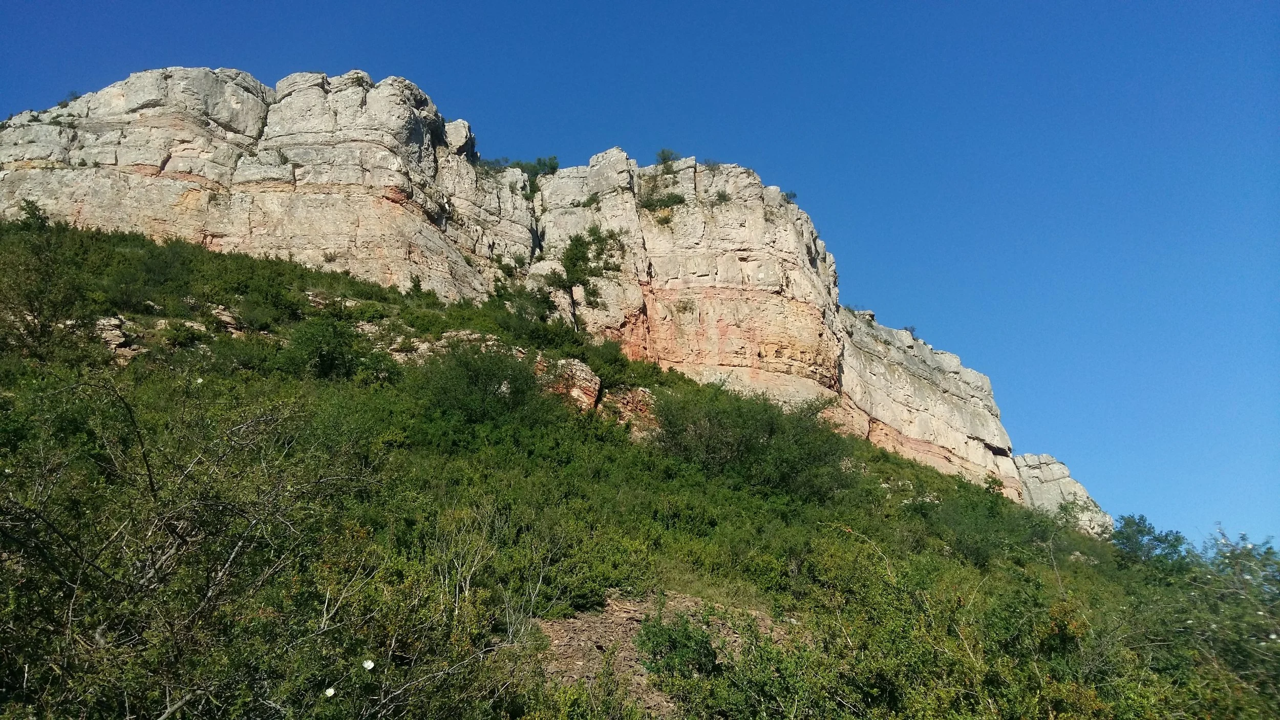 20170528_193231.jpg