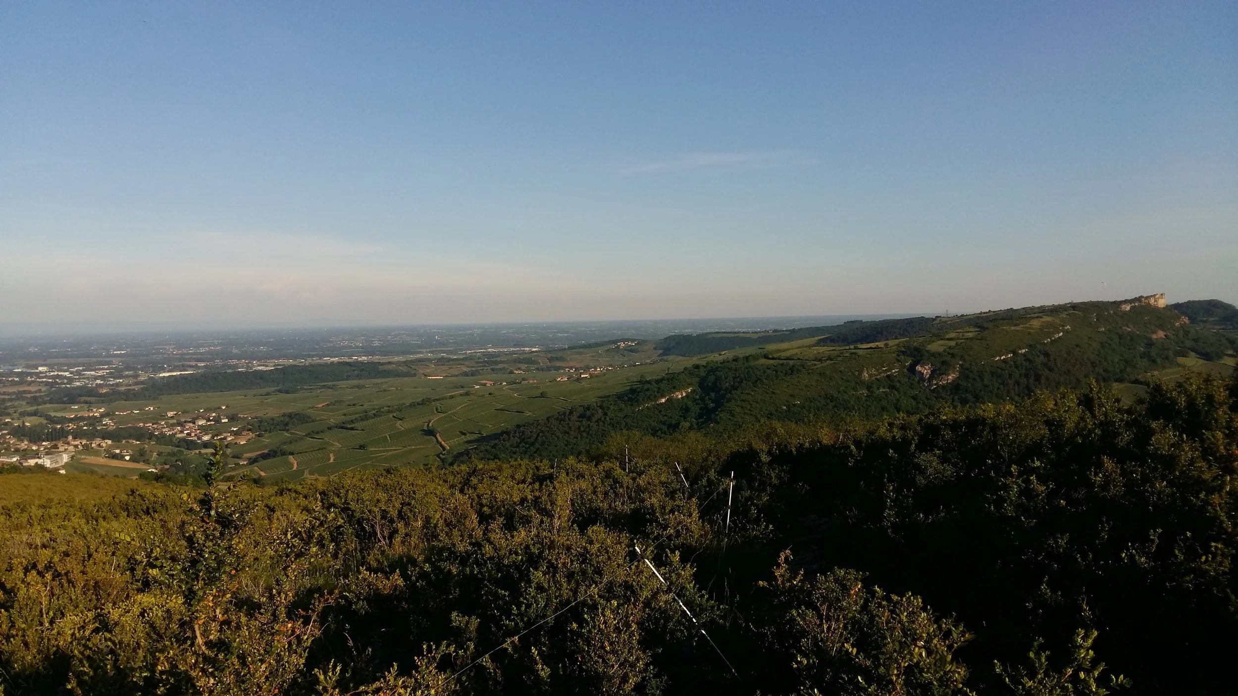 20170528_194407.jpg