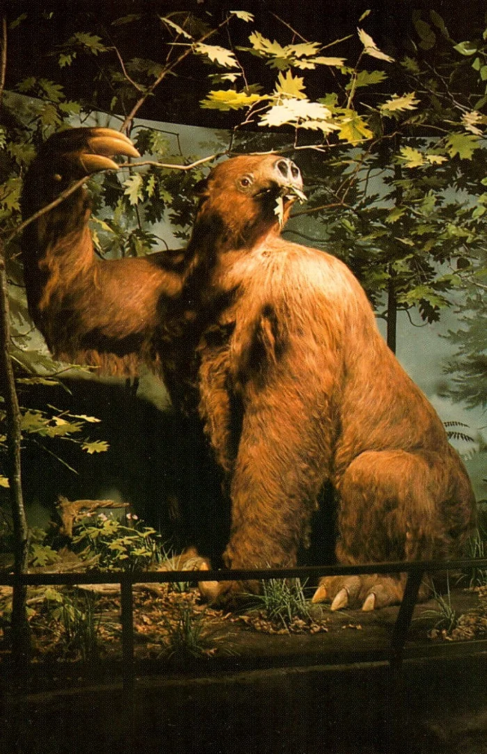 Megalonyx1-700x1083.jpg