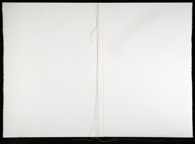 "Large White Ledger"