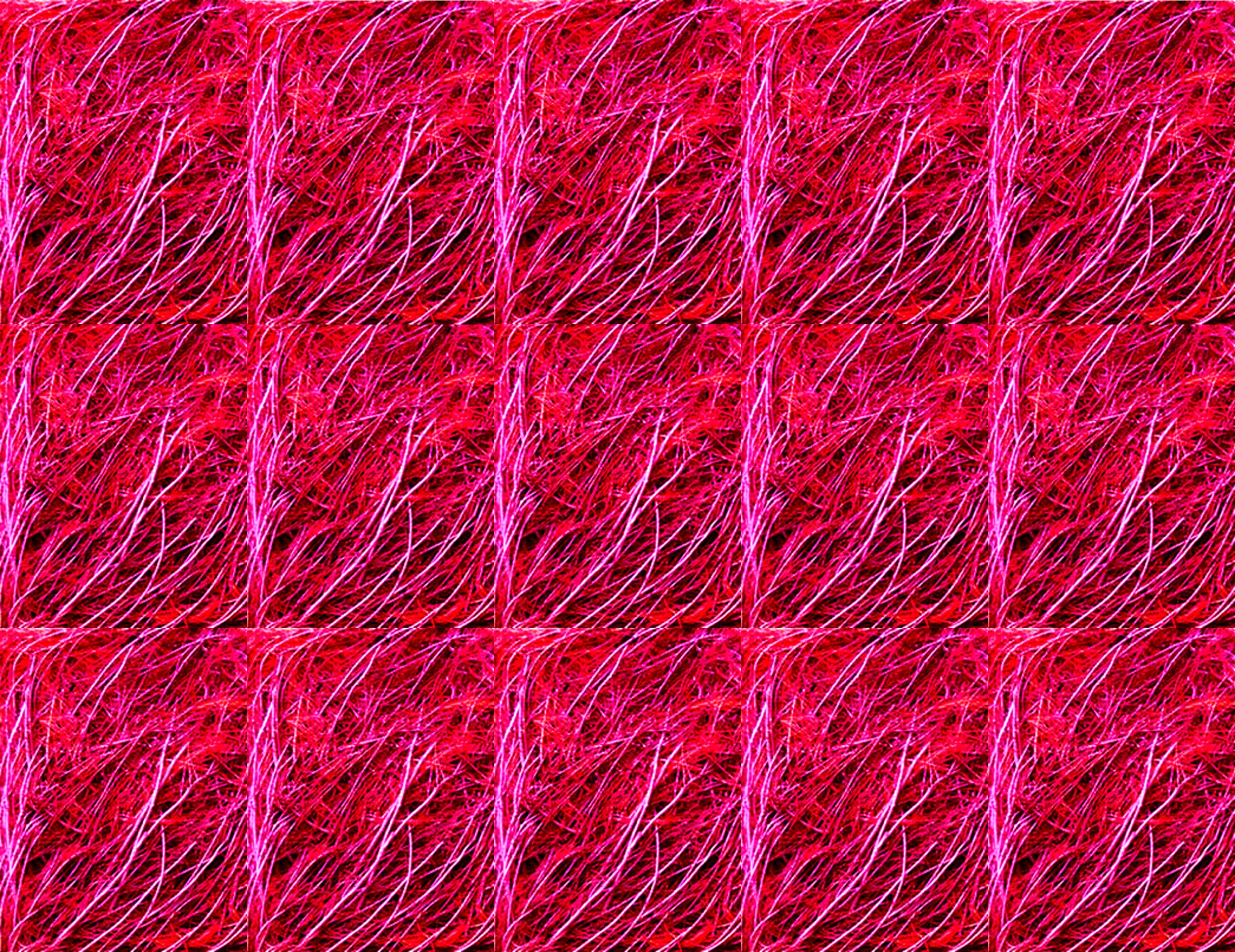 texture cover 2.jpg