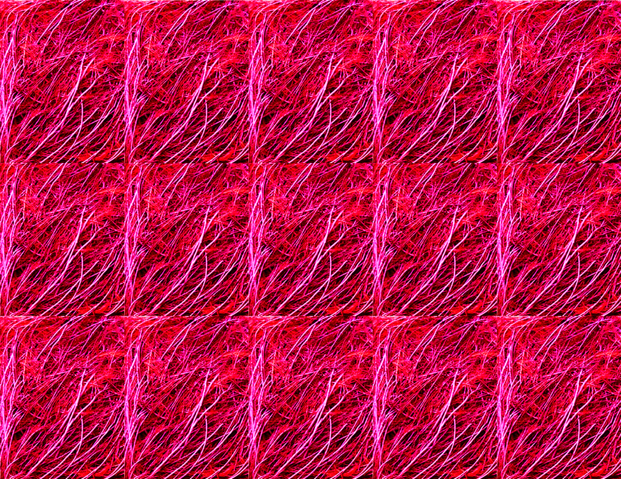 texture cover 2.jpg