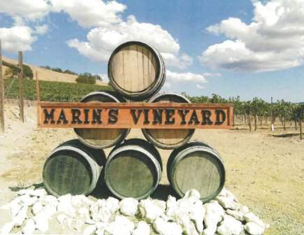 vineyardsign.jpg