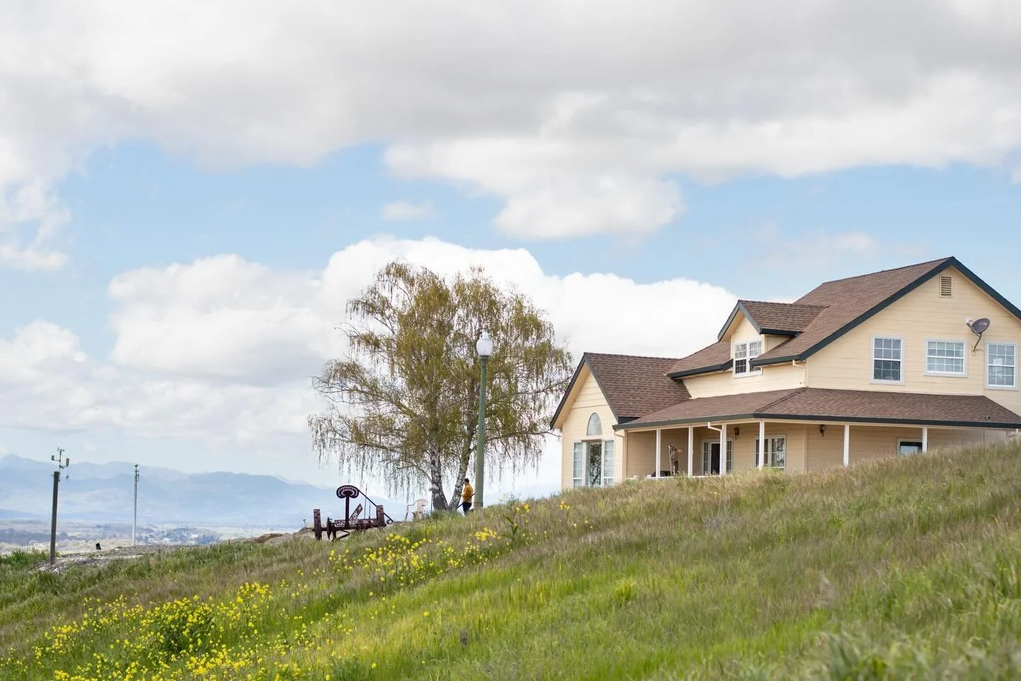 Major update! But first a little story time&hellip;

Before the vineyard was planted, my parents called the property Black Diamond Ranch. The saying goes, if it ever snowed in Lockwood - the driveway would be a black diamond ski run. My parents thoug