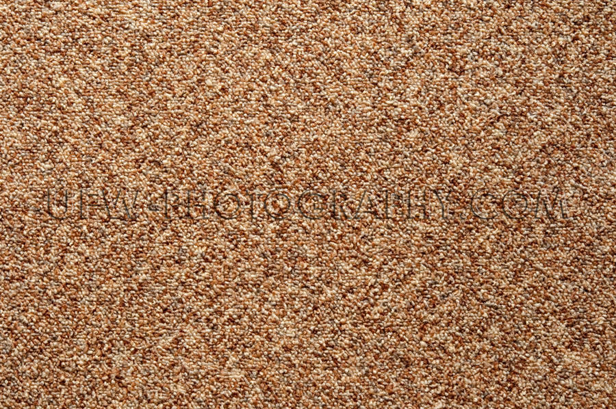 Wall-to-wall carpet loop fabric speckled brown pattern full fram