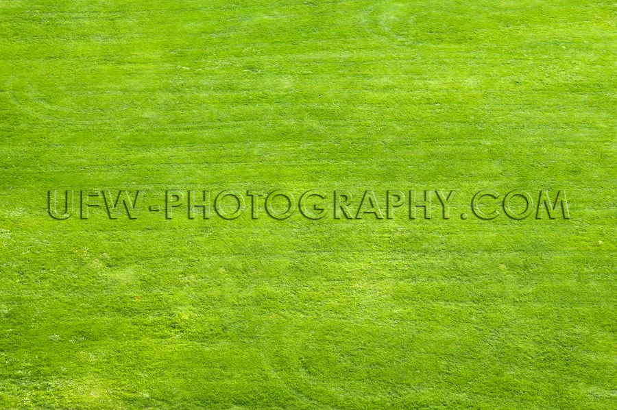 Lawn area for playing, sunbathing and relaxation - Stock Image