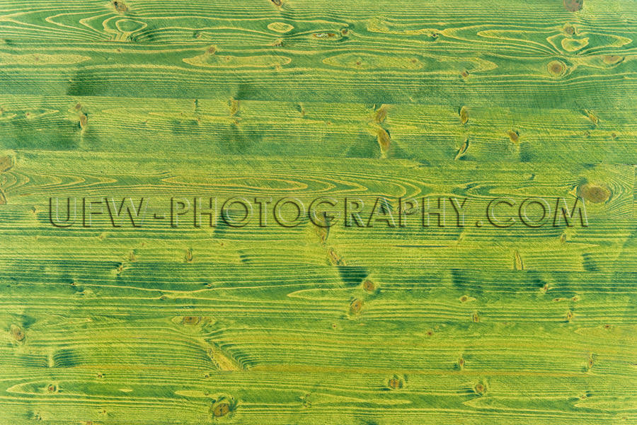 Green wood texture vivid grain pattern background XXXL image Sto