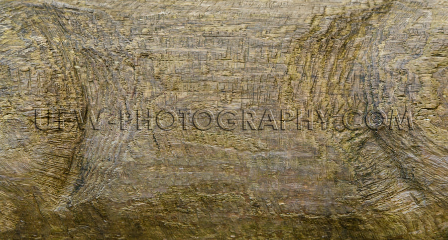 Rough wood background grungy damaged weathered gray textured Sto