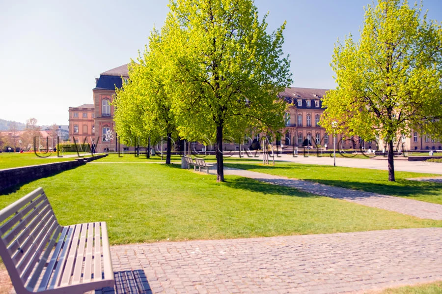 Sunny park castle palace lawn trees bench footpath spring tranqu