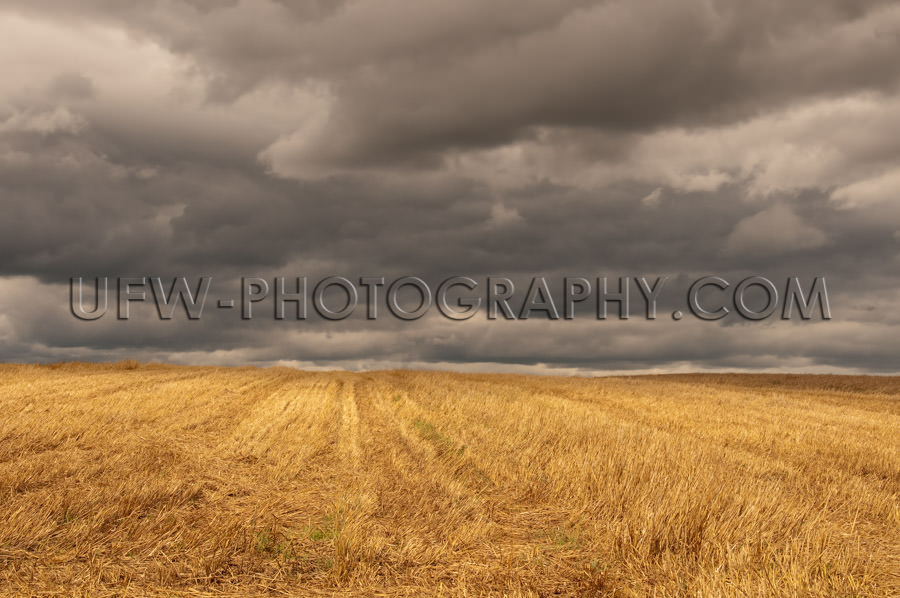 Autumn golden stubble field dark cloudy stormy sky Stock Image