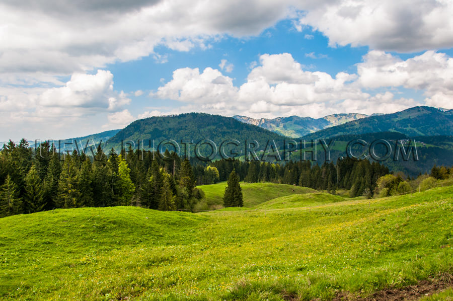 Beautiful alpine panorama landscape pasture mountain range Stock