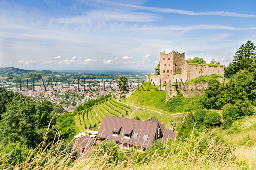 Castle ruin on a hill, vineyard and little town - Stock Image