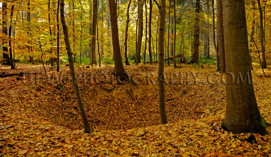 Crater peaceful autumn forest colorful foliage leaves tree Stock