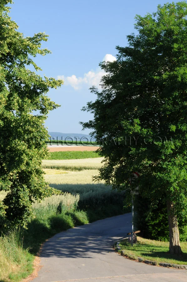 Curved road country track fields trees rural sky Stock Image